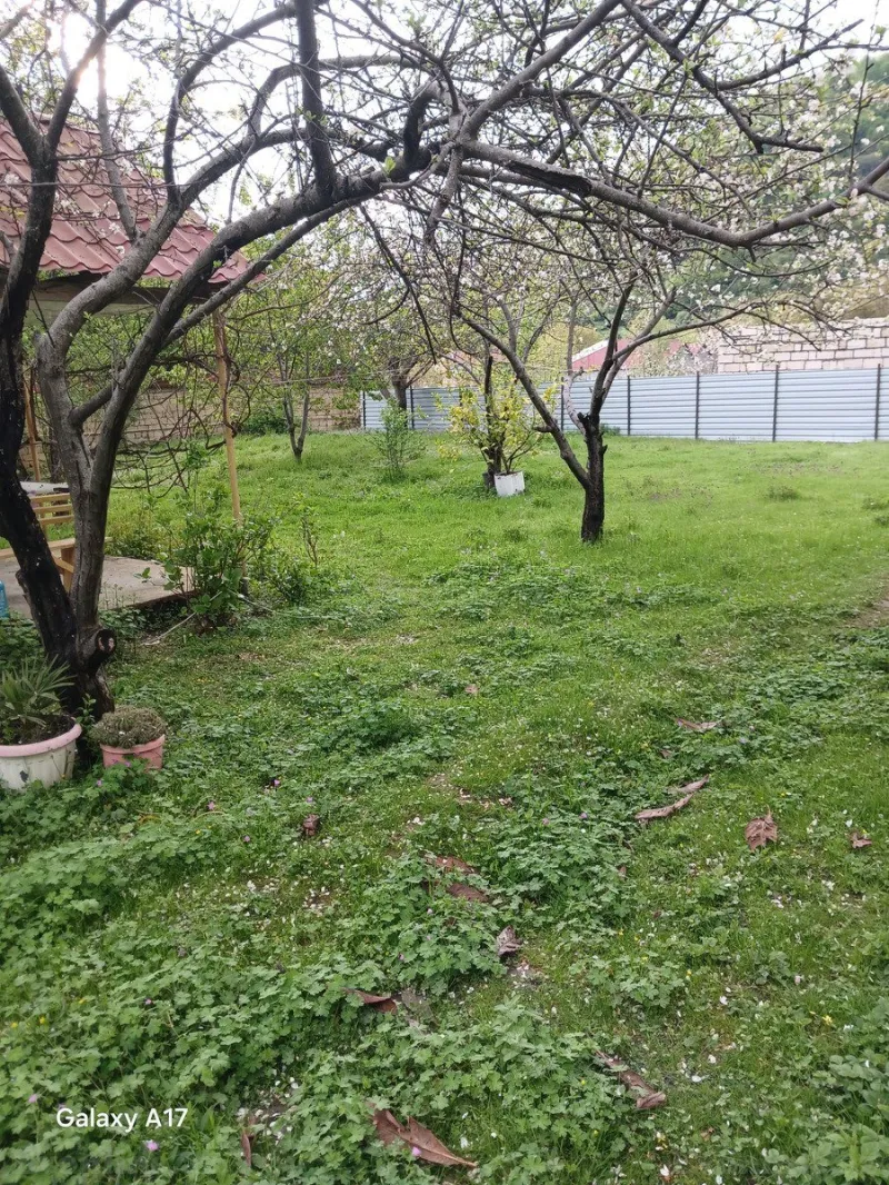 Satılır Torpaq 10 sot İsmayıllı - şəkil 2