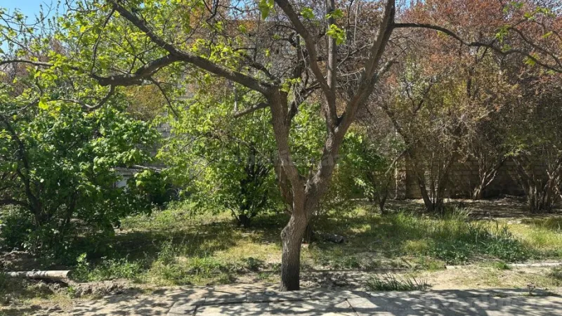 Satılır Torpaq 30 sot 8-ci kilometr - şəkil 4
