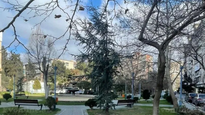 Satılır 5 otaqlı Mənzil Köhnə tikili 115 m² 8-ci mikrorayon - şəkil 2