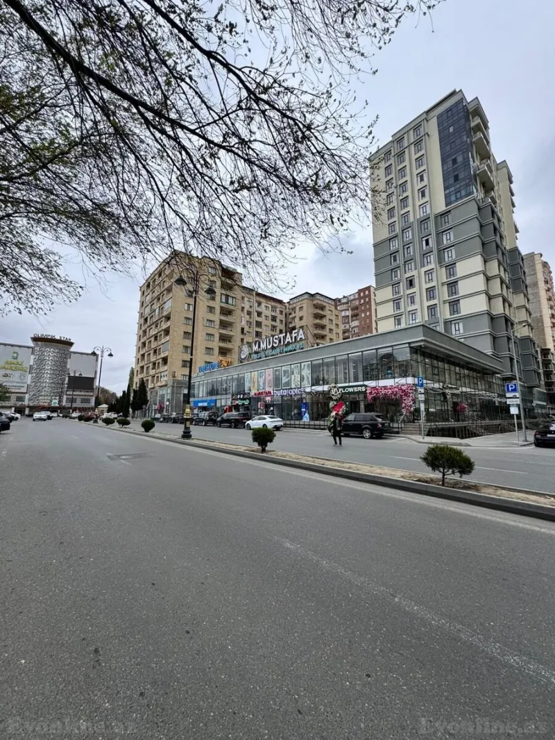 Kirayə verilir 3 otaqlı Mənzil Yeni tikili 100 m² Nəsimi r. - şəkil 13