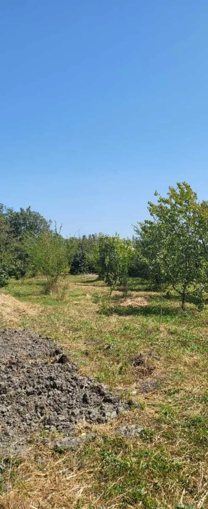 Satılır Torpaq 20 sot Xaçmaz - şəkil 4