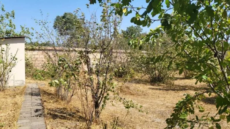 Satılır Torpaq 20 sot Xaçmaz - şəkil 6