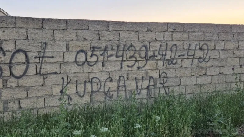 Satılır Torpaq 6 sot Masazır - şəkil 7