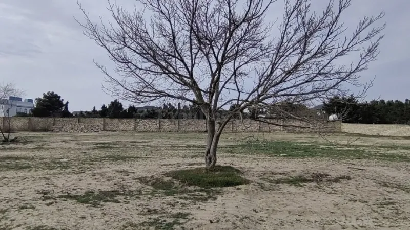 Satılır Torpaq 12 sot Bilgəh - şəkil 4