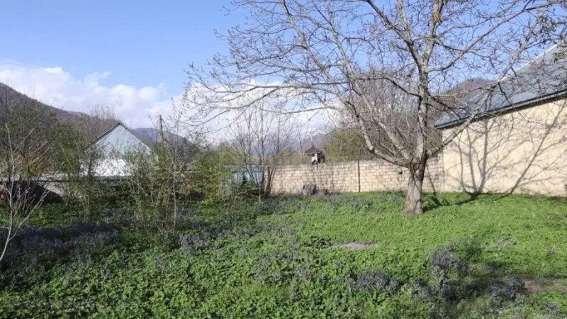 Satılır Torpaq 20 sot Qəbələ