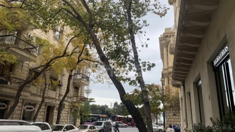 Kirayə verilir Obyekt 35 m² Sahil m. - şəkil 2