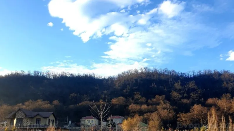 Satılır Torpaq 12 sot Qusar - şəkil 2
