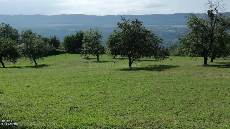 Satılır Torpaq 82 sot Quba