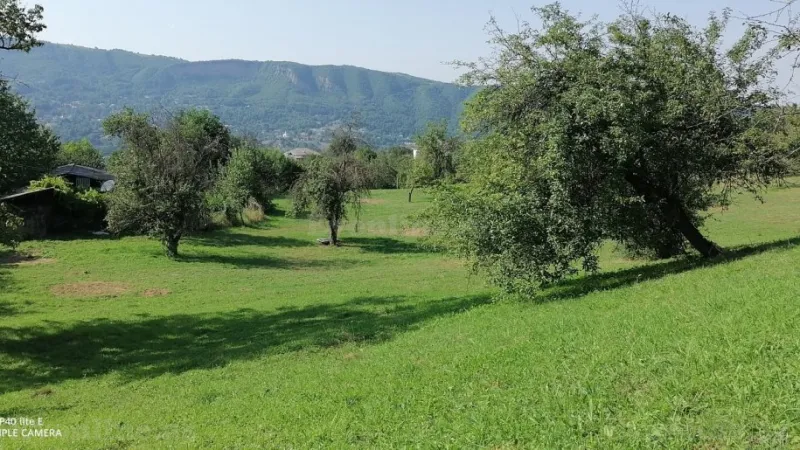 Satılır Torpaq 82 sot Quba - şəkil 3
