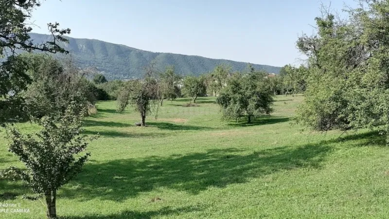 Satılır Torpaq 82 sot Quba - şəkil 4