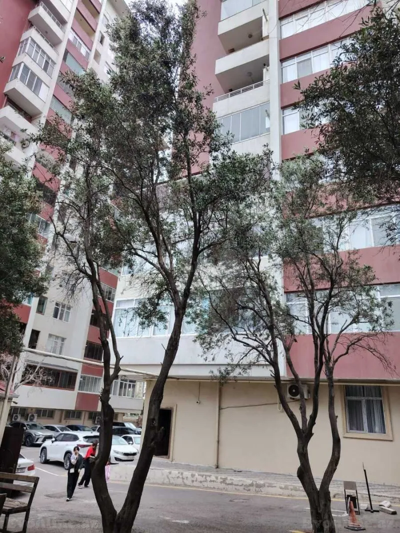 Satılır 2 otaqlı Mənzil Yeni tikili 102 m² 9-cu mikrorayon - şəkil 20