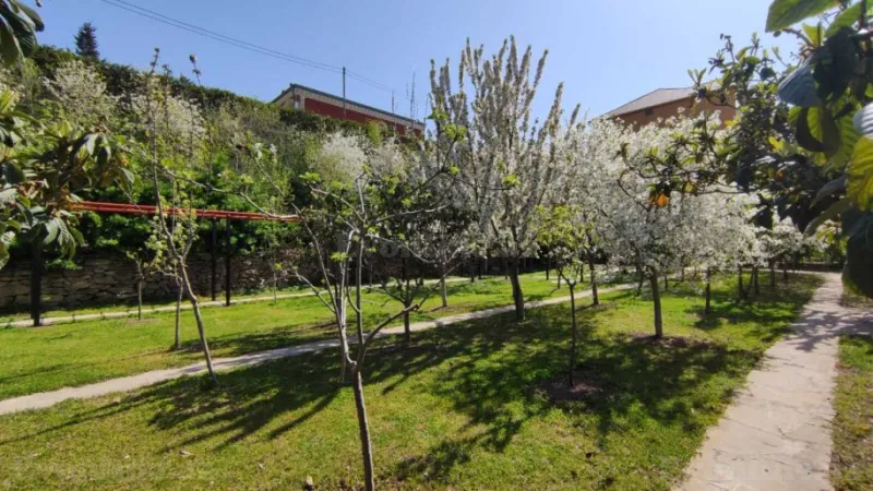 Satılır Torpaq 39100 sot Xızı - şəkil 5