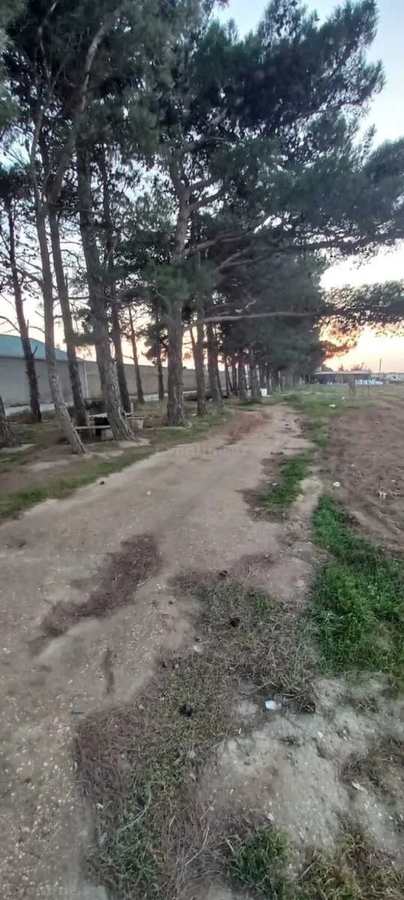 Satılır Torpaq 100 sot Maştağa - şəkil 8