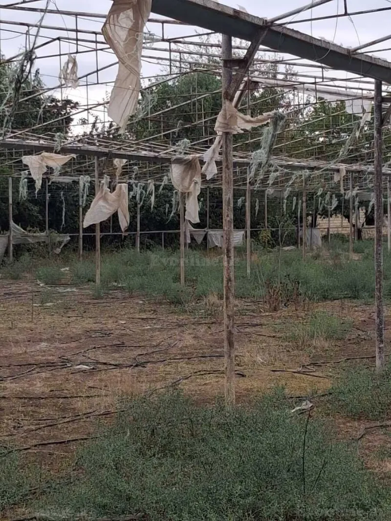Satılır Obyekt 1500 m² İmişli - şəkil 3