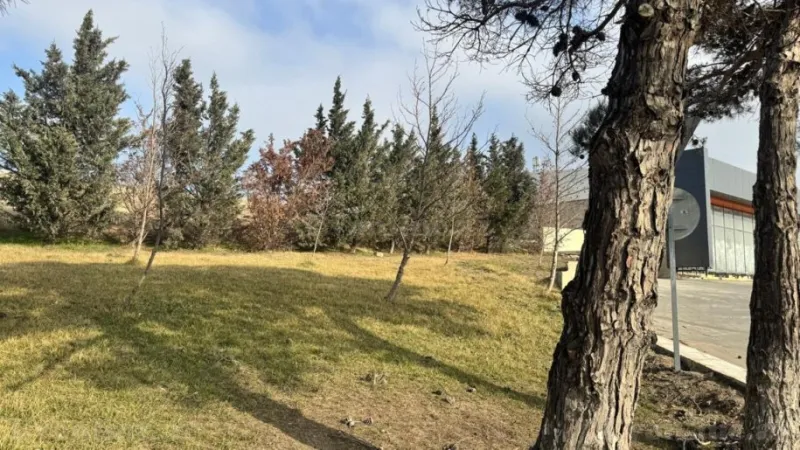 Satılır Torpaq 30 sot Avtovağzal m. - şəkil 3
