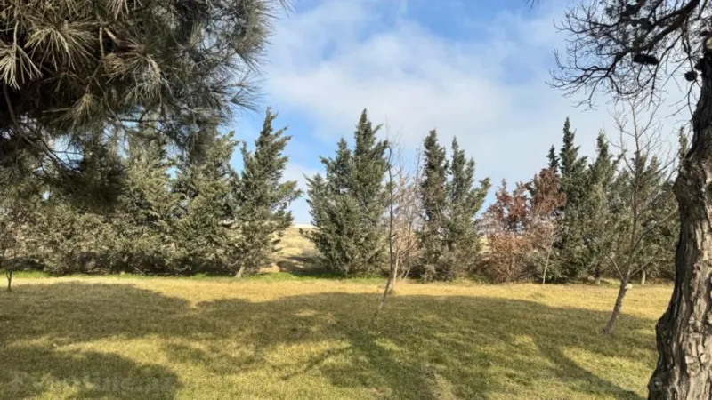 Satılır Torpaq 30 sot Avtovağzal m. - şəkil 7