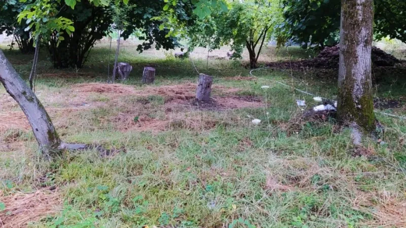 Satılır Torpaq 14 sot Qəbələ - şəkil 7