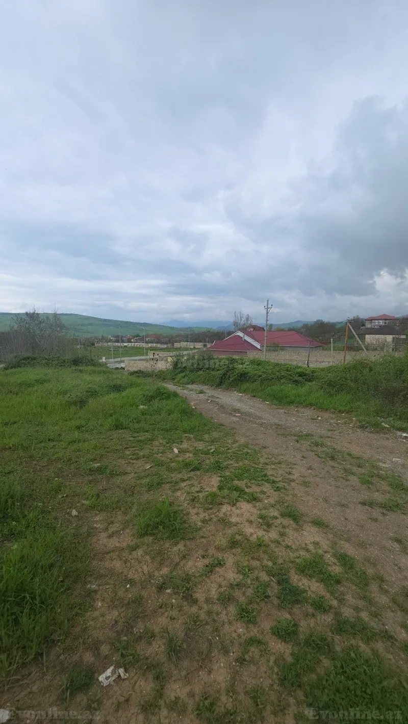 Torpaq Şamaxı Satılır