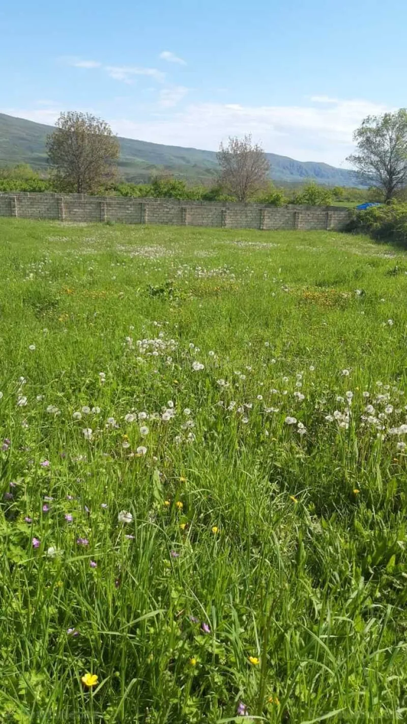 Torpaq Abşeron r. Satılır
