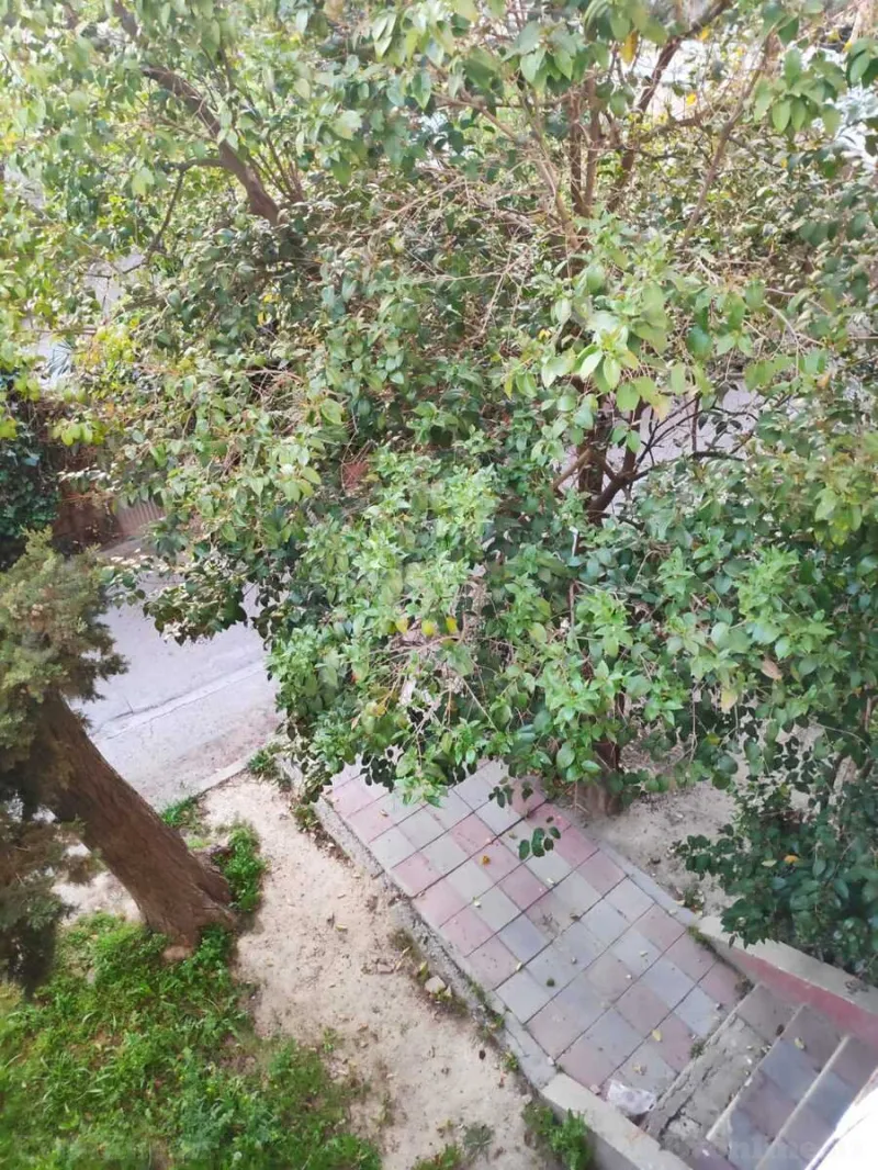 Satılır 2 otaqlı Mənzil Köhnə tikili 40 m² Əhmədli - şəkil 11