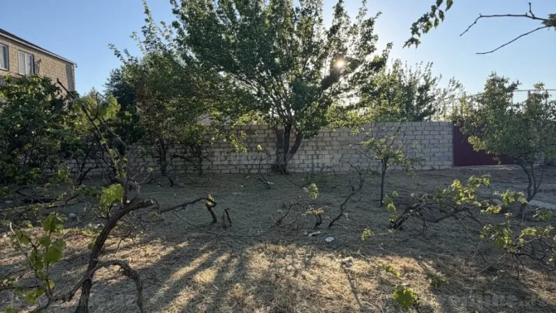 Satılır Torpaq 5.4 sot Görədil - şəkil 2