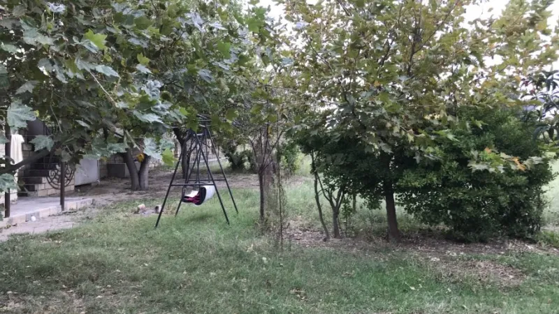 Torpaq Pirşağı Satılır