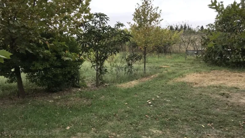 Satılır Torpaq 40 sot Pirşağı - şəkil 2