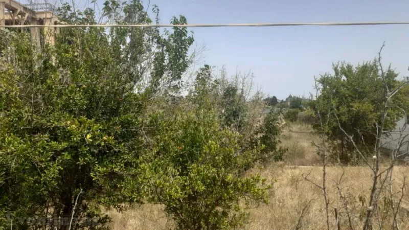 Torpaq Bilgəh Satılır
