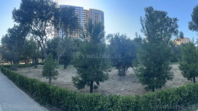 2 otaqlı Mənzil 111 m² 9-cu mikrorayon Satılır