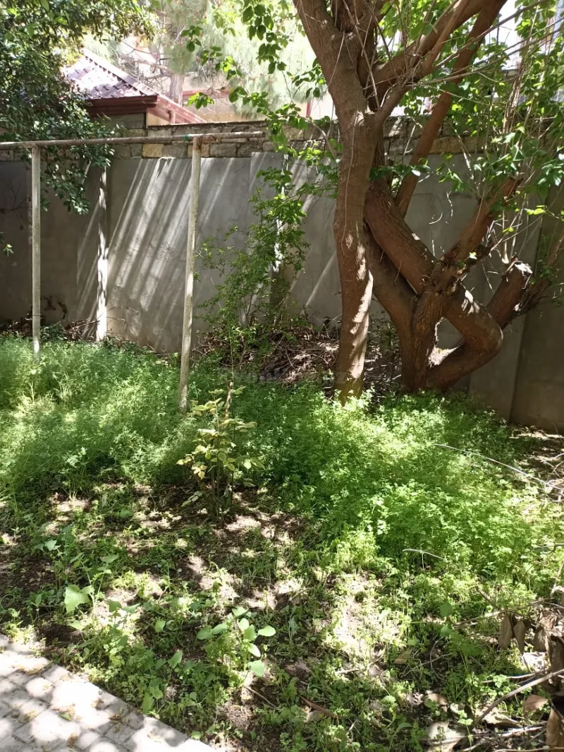 Kirayə verilir Obyekt 555 m² 8-ci mikrorayon - şəkil 5