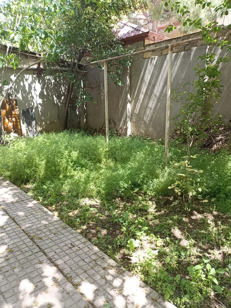 Kirayə verilir Obyekt 555 m² 8-ci mikrorayon - şəkil 11