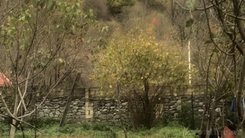 Satılır Torpaq 4 sot Qəbələ