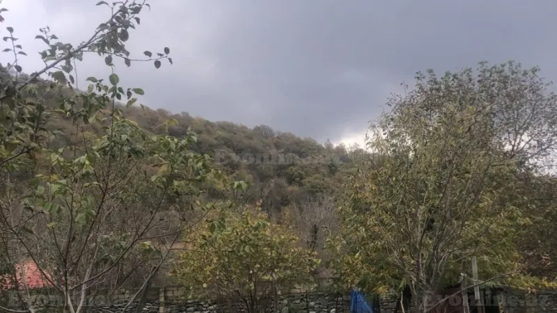 Satılır Torpaq 4 sot Qəbələ - şəkil 4