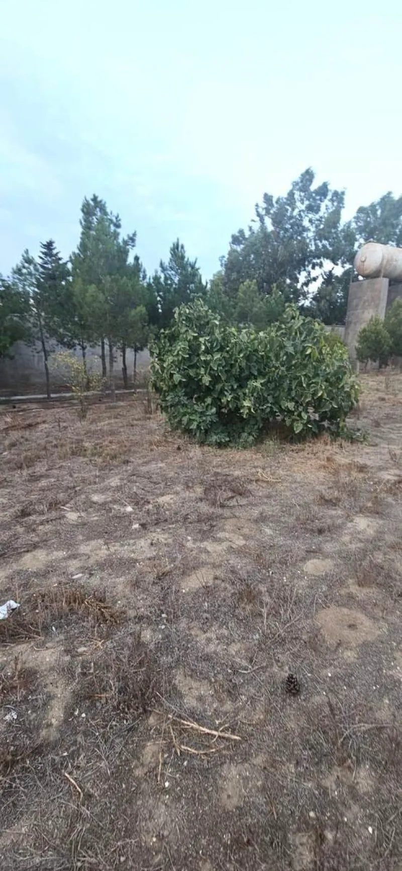 Satılır Torpaq 12 sot Şüvəlan - şəkil 4