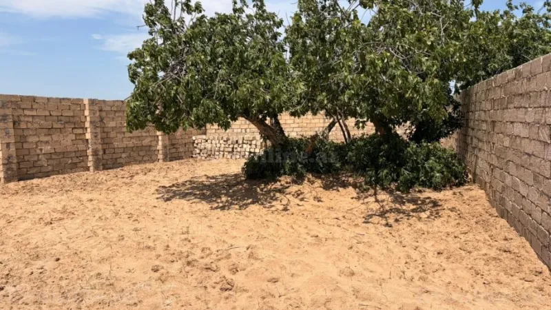 Satılır Torpaq 14 sot Nardaran - şəkil 10