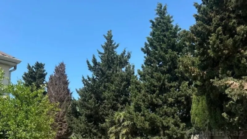 Satılır Torpaq 8 sot Xəzər r. - şəkil 2