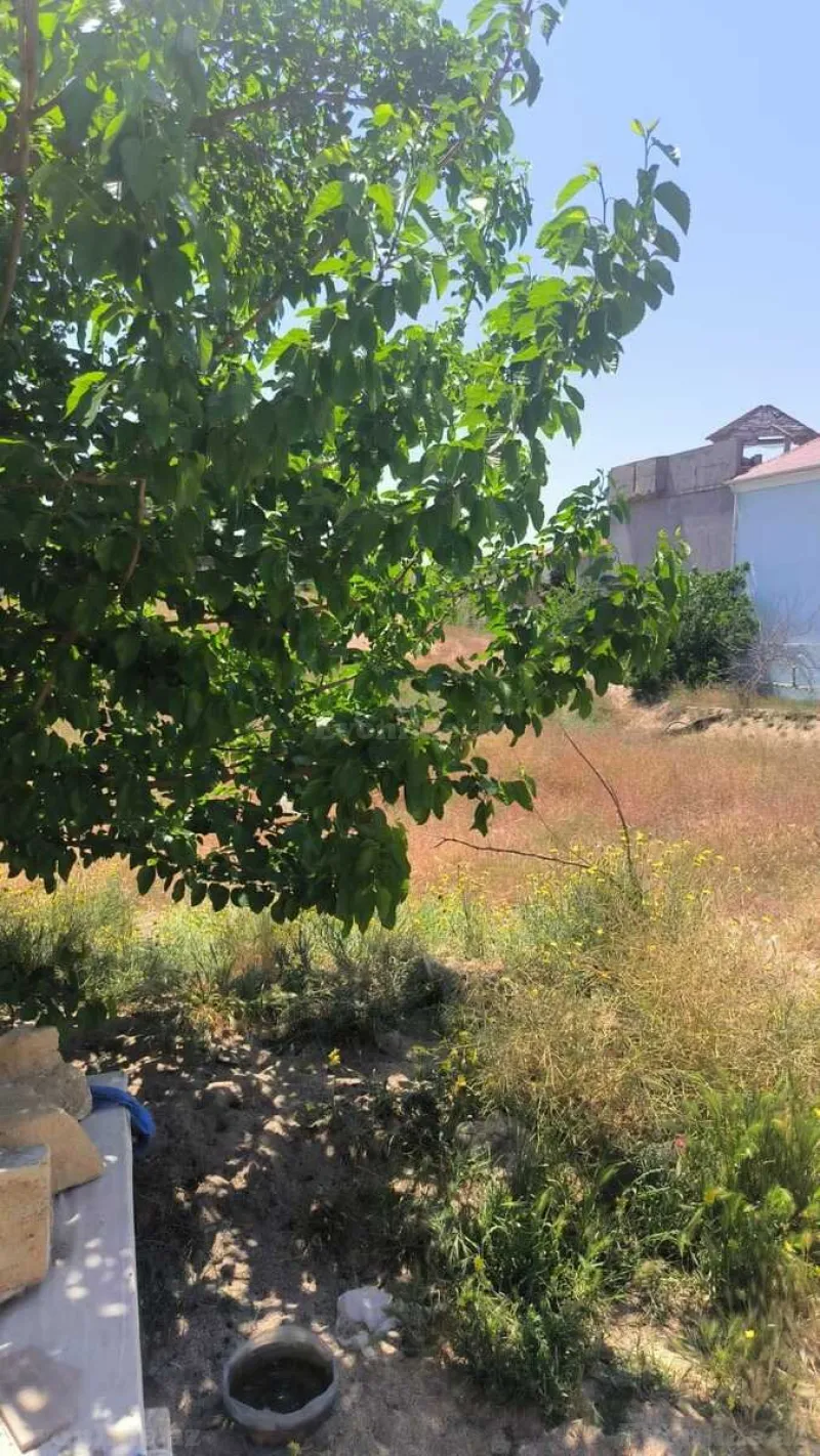 Satılır Torpaq 25 sot Nardaran - şəkil 3