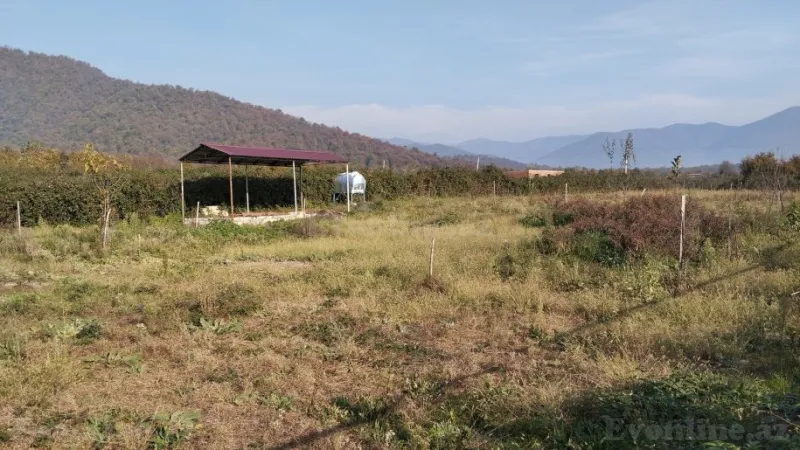 Satılır Torpaq 13 sot Zaqatala