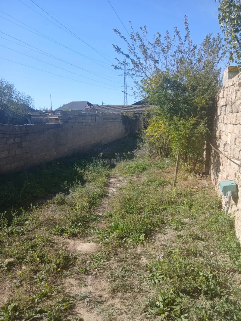 Satılır Torpaq 5 sot Yeni Ramana - şəkil 2