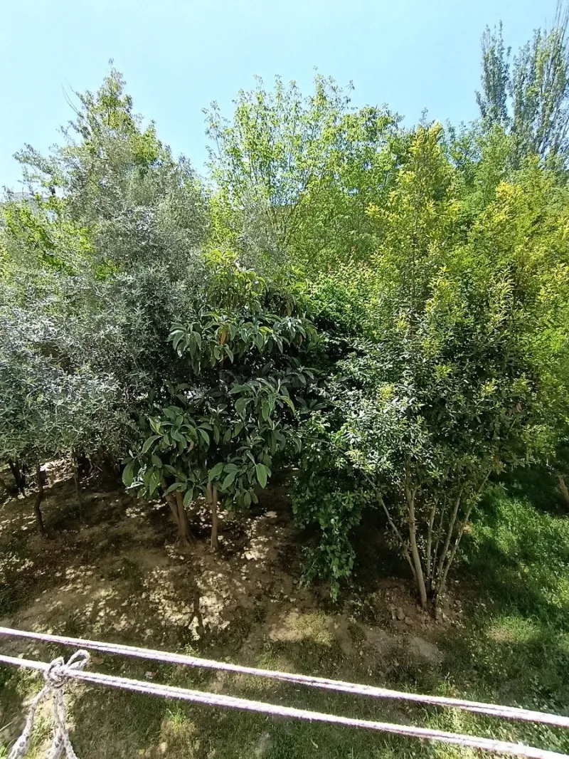 Satılır 2 otaqlı Mənzil Köhnə tikili 65 m² Həzi Aslanov - şəkil 12