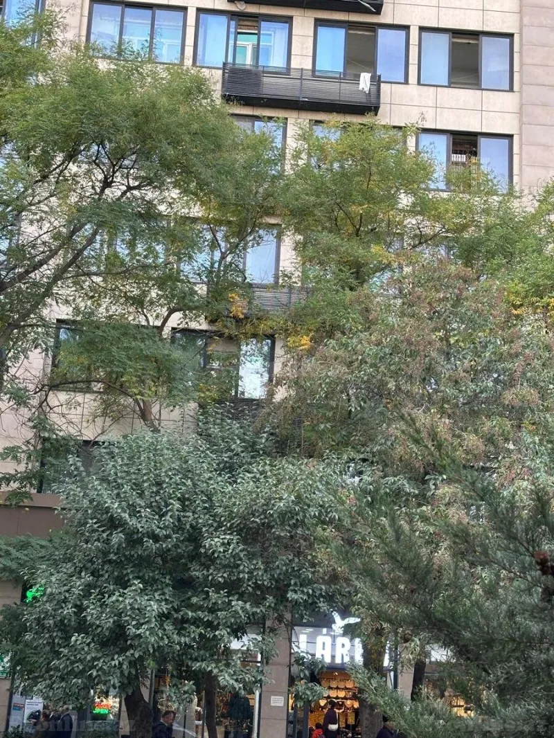 Satılır 3 otaqlı Mənzil Köhnə tikili 70 m² Gənclik m. - şəkil 19