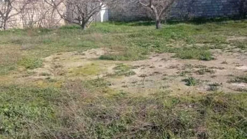 Satılır Torpaq 11 sot Şəki - şəkil 2