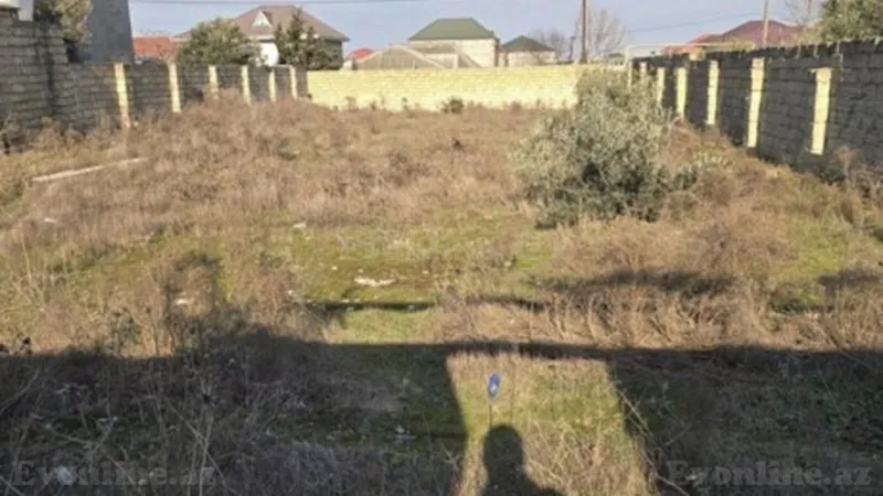 Satılır Torpaq 11 sot Şəki - şəkil 3