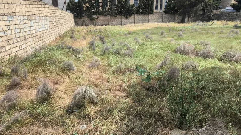 Satılır Torpaq 10 sot Badamdar - şəkil 10