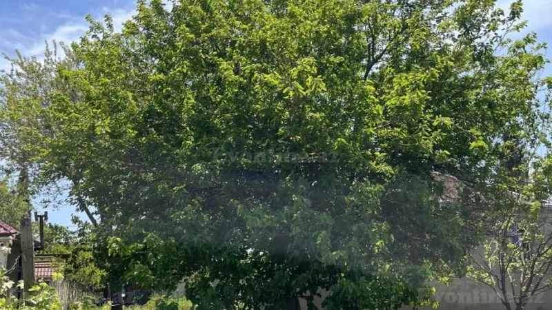 Satılır Torpaq 10.5 sot Sabunçu r. - şəkil 4