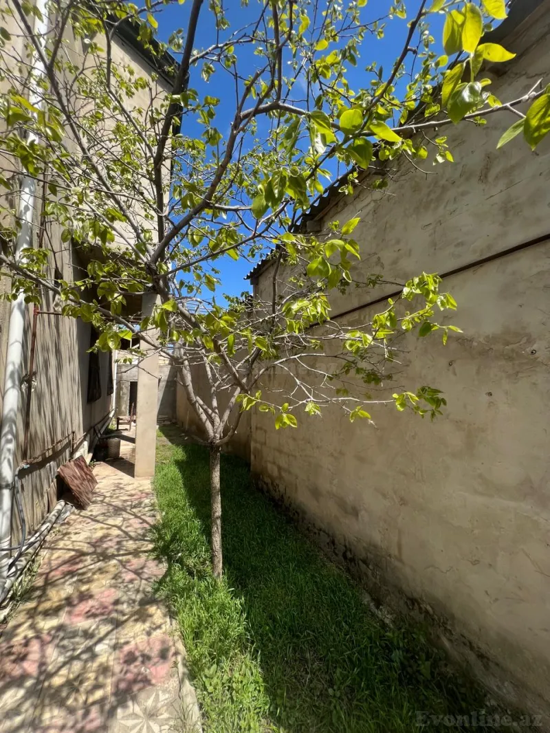 Satılır 6 otaqlı Həyət evi 250 m² Dədə Qorqud - şəkil 18