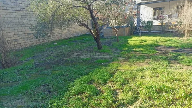 Satılır Torpaq 7.7 sot Badamdar - şəkil 2
