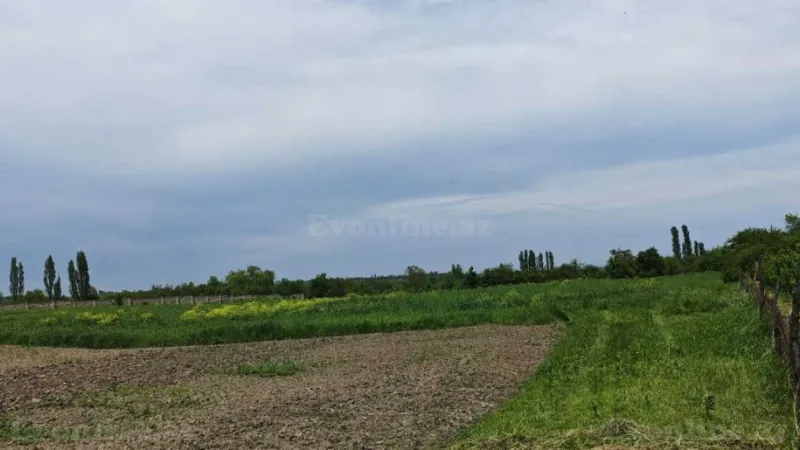 Satılır Torpaq 46 sot Quba - şəkil 4