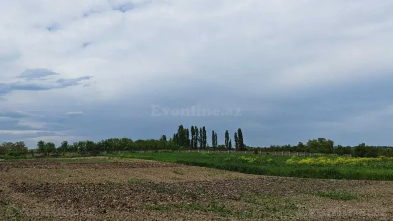 Satılır Torpaq 46 sot Quba - şəkil 5