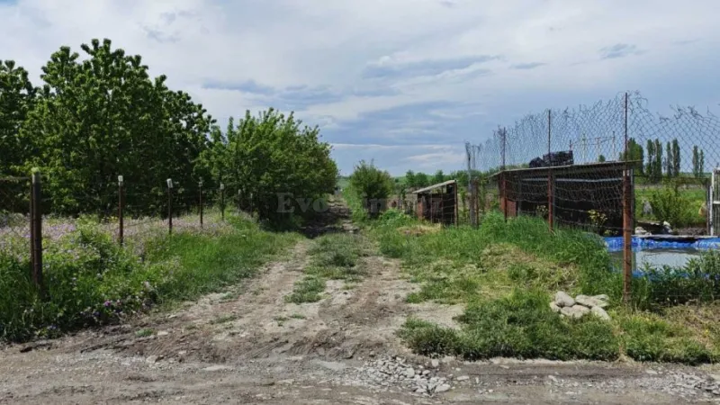 Satılır Torpaq 46 sot Quba - şəkil 11